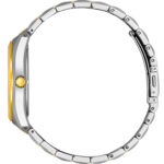 سیتیزن BM7334-58E2 با قاب استیل ضد حساسیت نقره‌ای-طلایی و صفحه مشکی